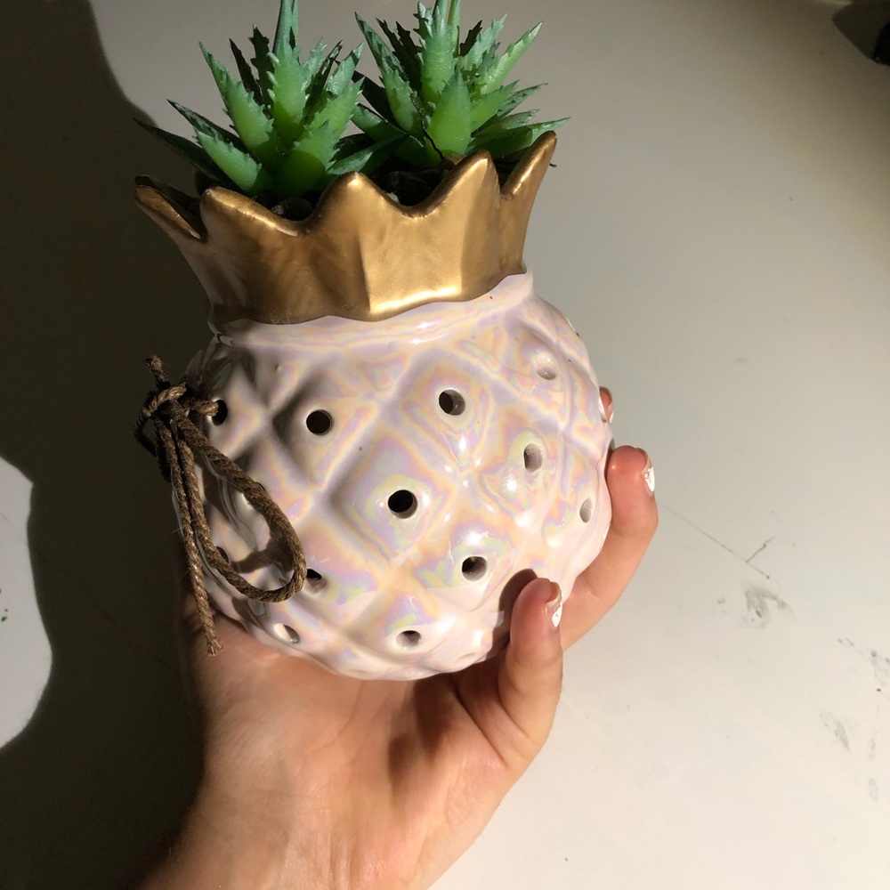 Faux Plant with Rocks - Picture 3 of 3